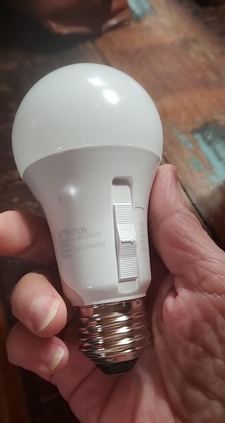 bulb_1_1